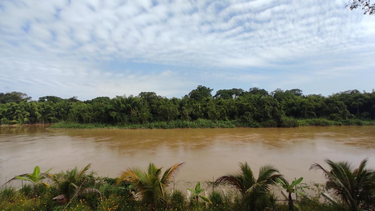 كات تيان Homestay Dat Viet المظهر الخارجي الصورة