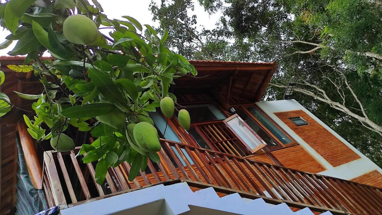 كات تيان Homestay Dat Viet المظهر الخارجي الصورة